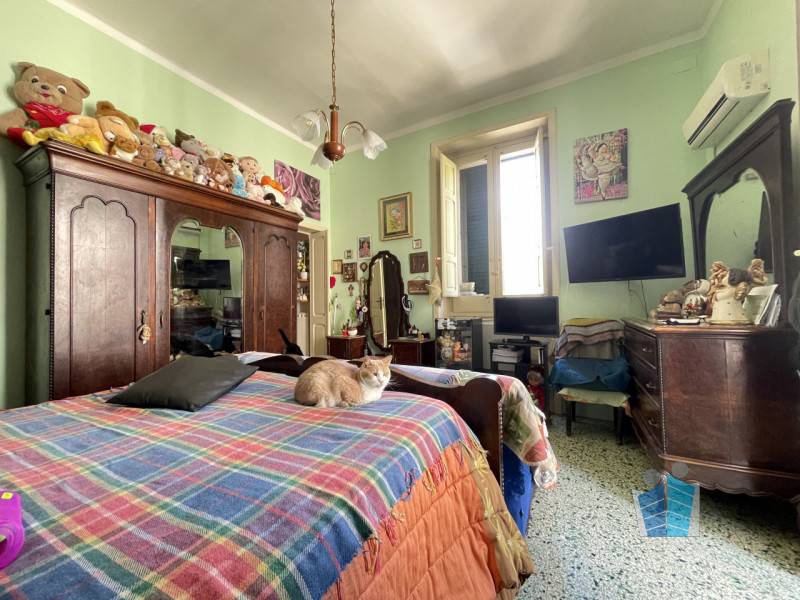  - foto 6