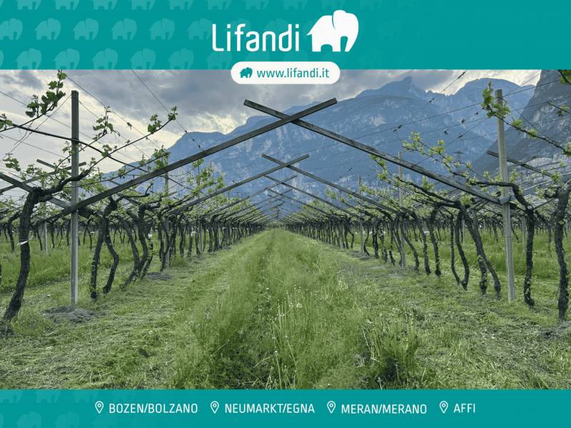 Terreno agricolo Salorno, Salorno sulla strada del vino