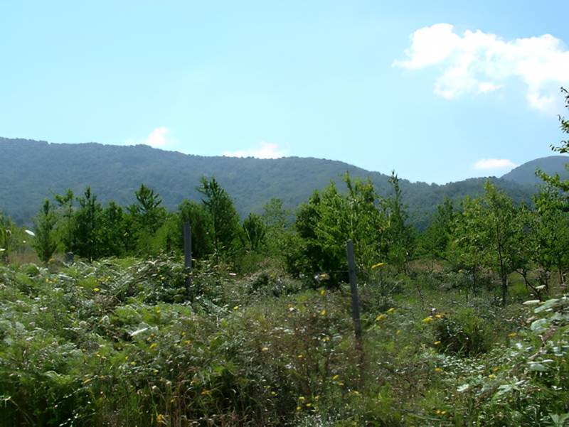  - foto 10