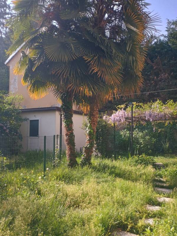  - foto 2