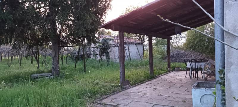  - foto 3