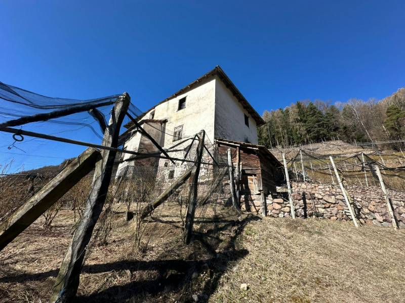  - foto 2