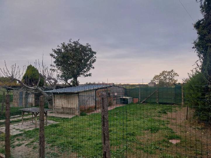  - foto 5