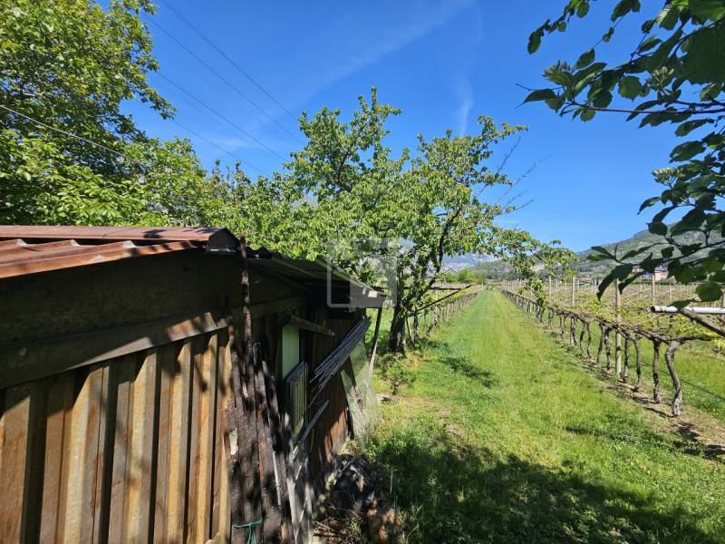 Terreno agricolo Bolognano, Arco