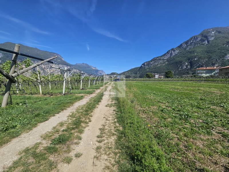 Terreno agricolo Arco, Arco