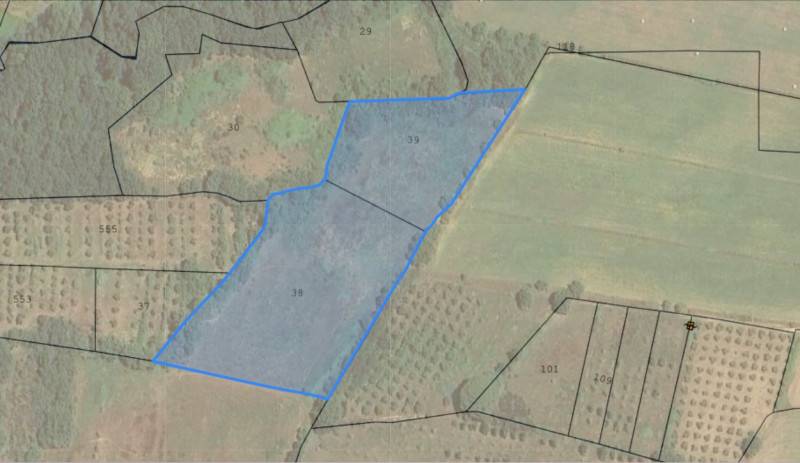 Terreno agricolo Tuoro Sul Trasimeno, Tuoro sul Trasimeno