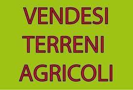 Terreno agricolo, Patrica