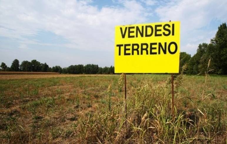 Terreno agricolo, Patrica