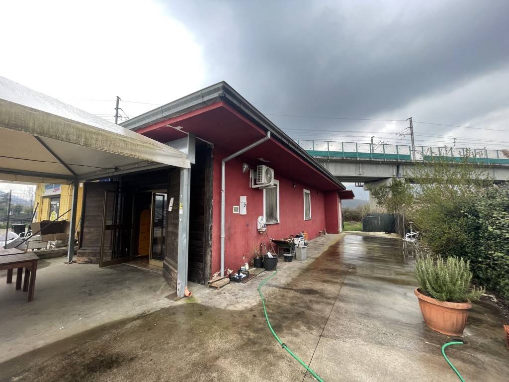 Locale commerciale, Patrica