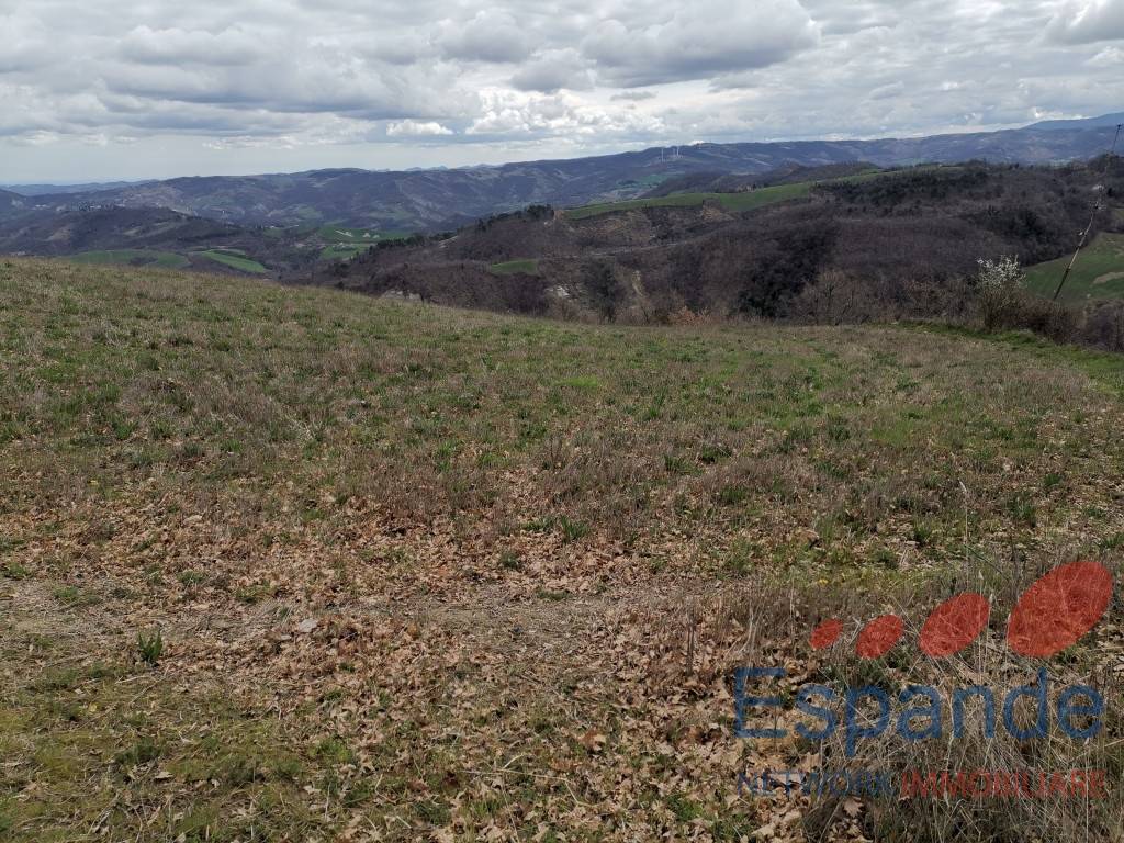 Terreno agricolo, Loiano