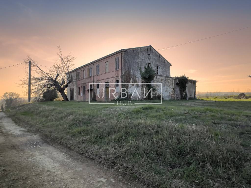 Rustico, Forlì