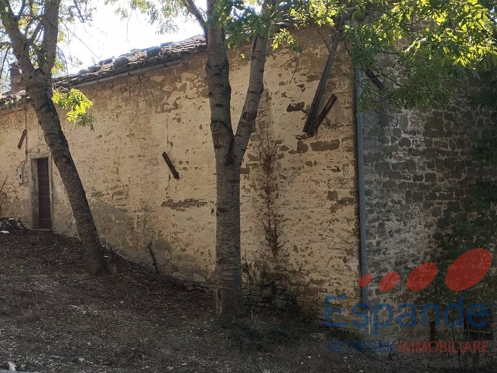  - foto 5