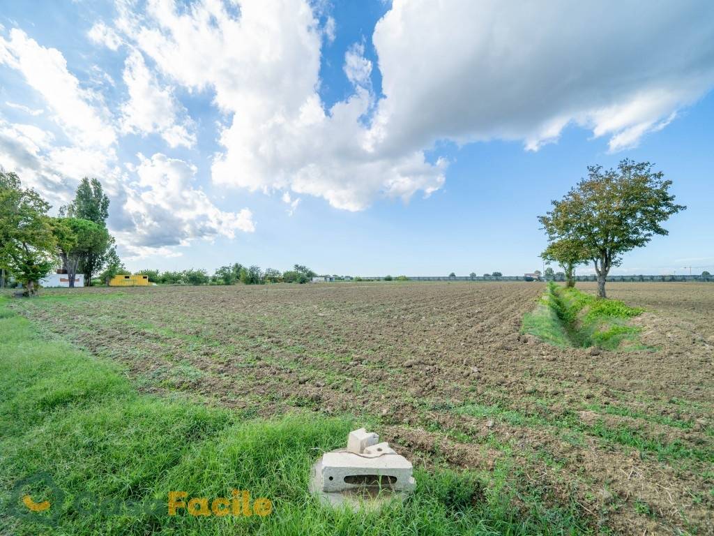 Terreno agricolo, Cesena