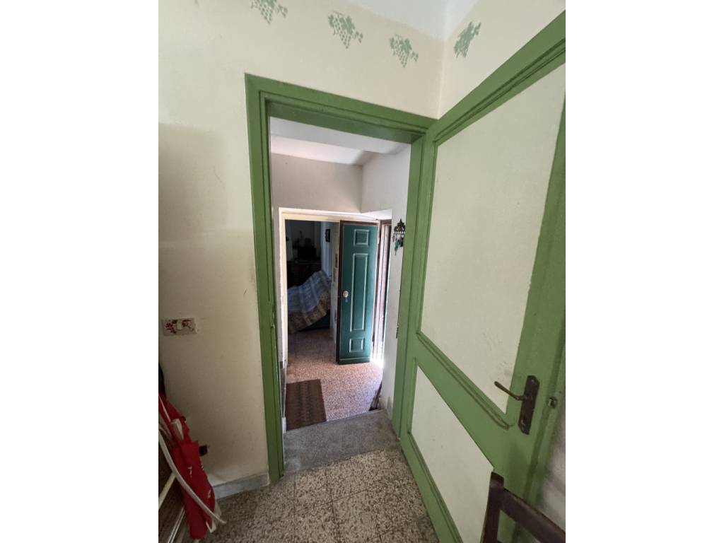  - foto 6