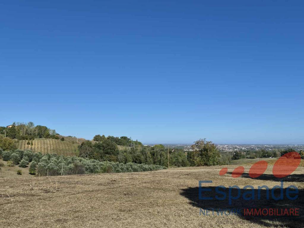 Terreno agricolo, Forlì