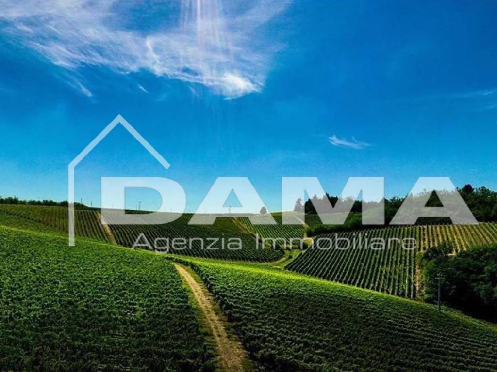 Terreno agricolo, Forlì