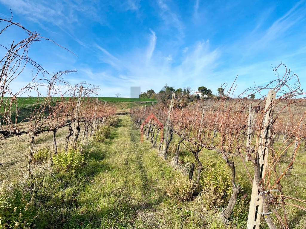 Terreno agricolo, Castrocaro Terme e Terra del Sole