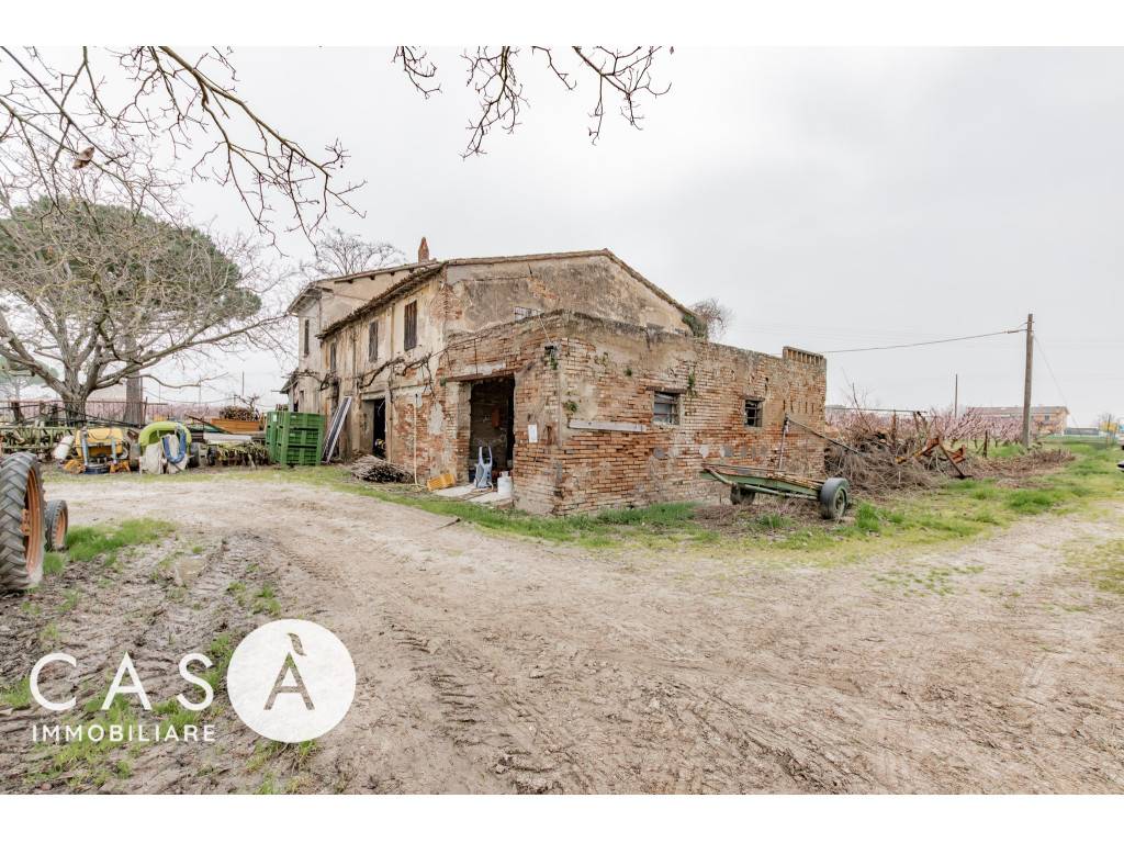 Rustico, Gambettola