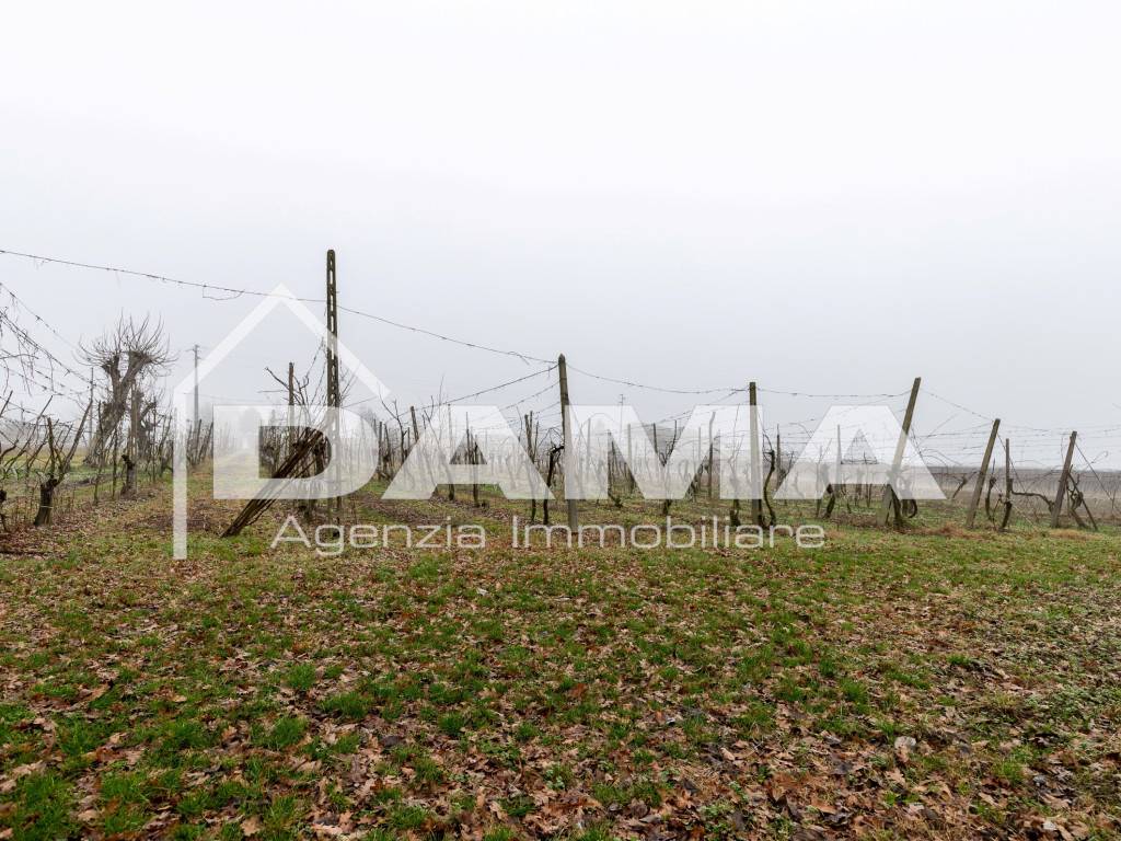Terreno agricolo, Forlì