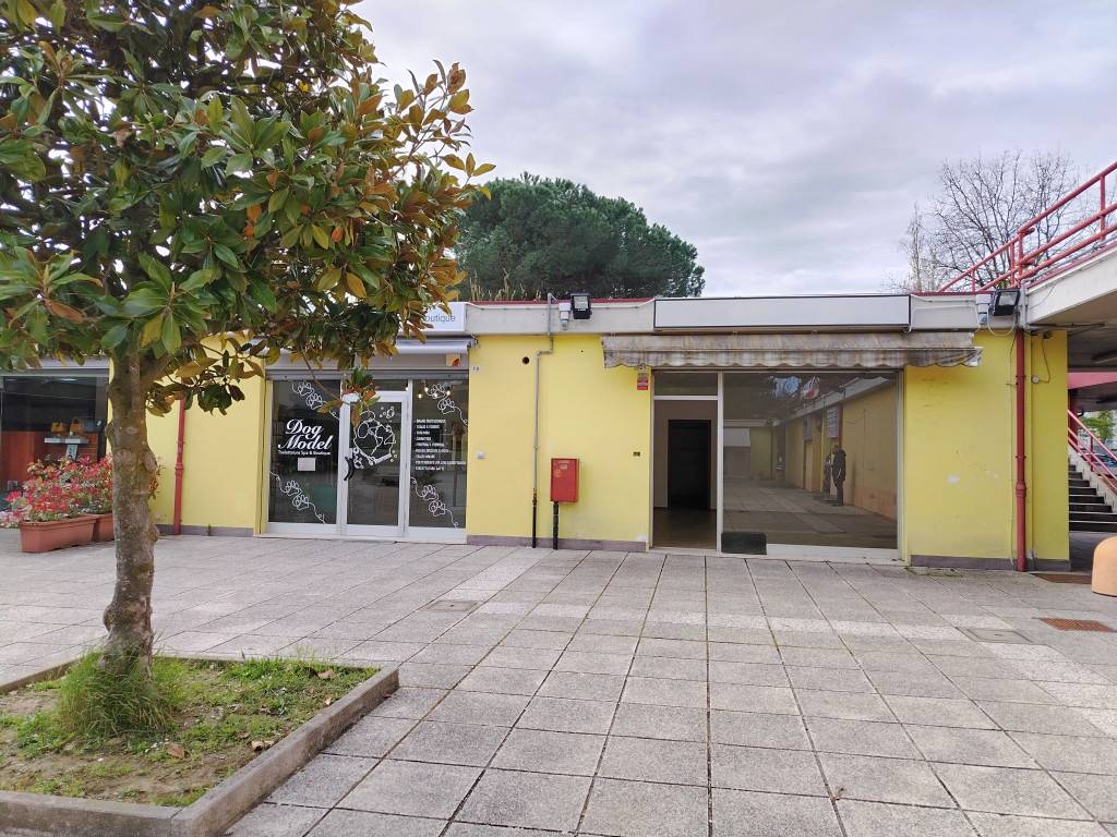  - foto 3