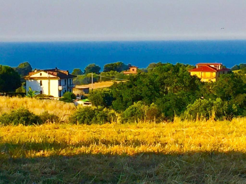  - foto 5