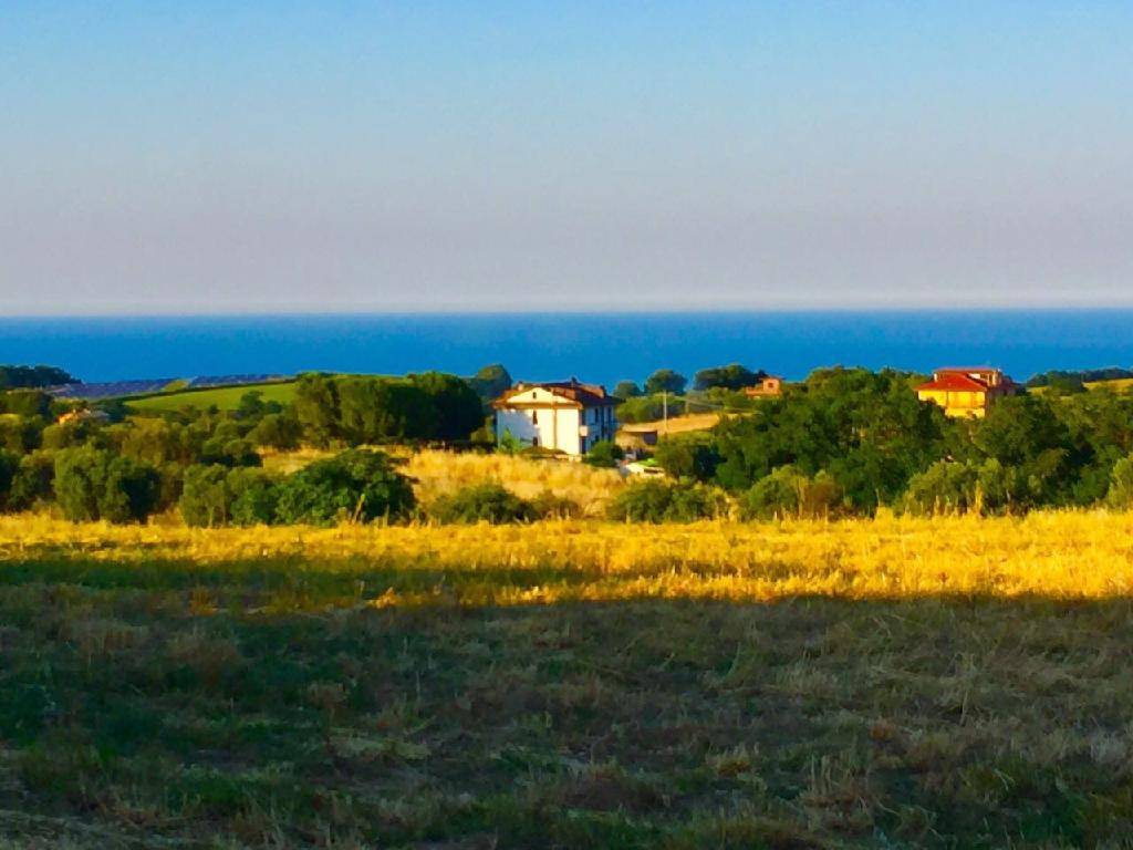  - foto 6