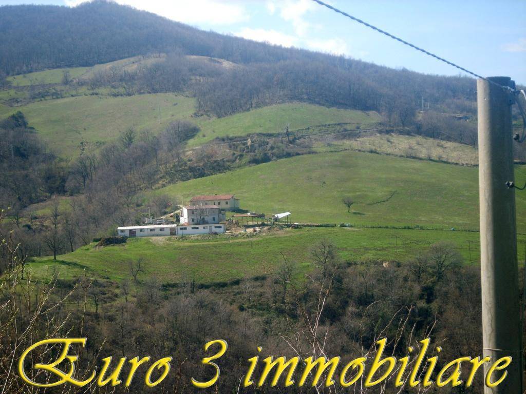  - foto 7