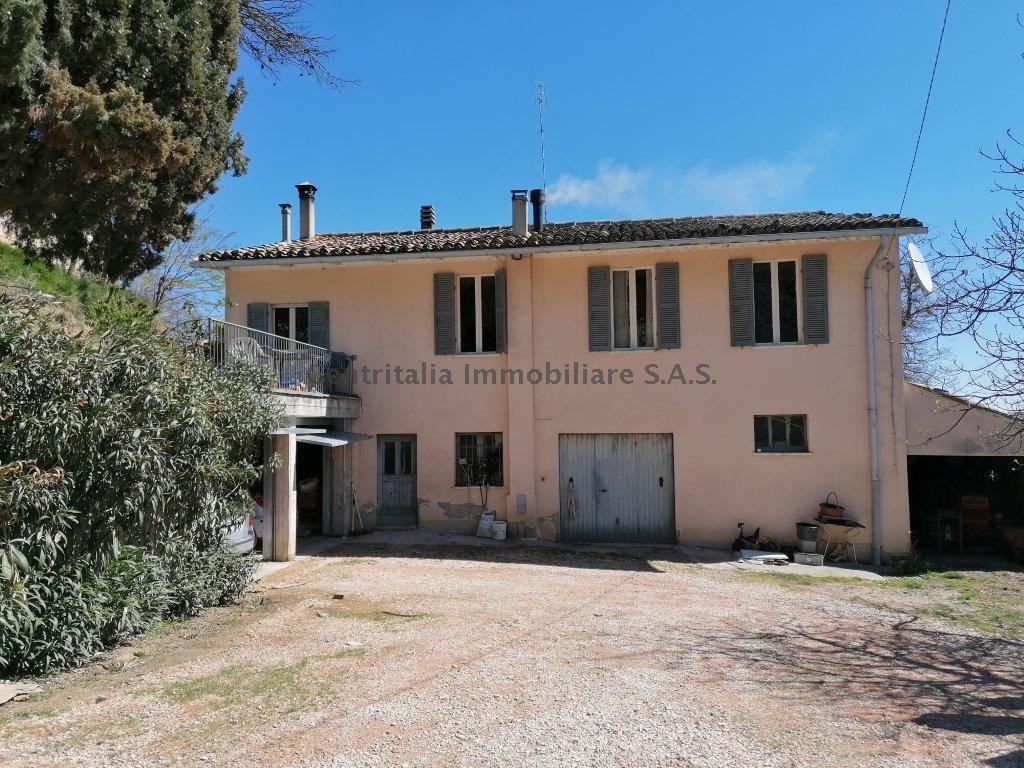 Casa indipendente, Urbino