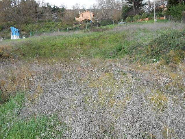 Altro MONTESICURO, Falconara Marittima