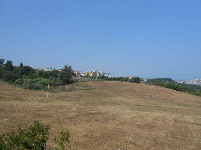 Altro RUSTICO, Polverigi