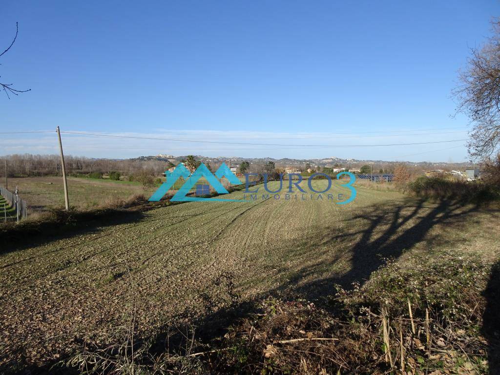 Terreno agricolo, Controguerra