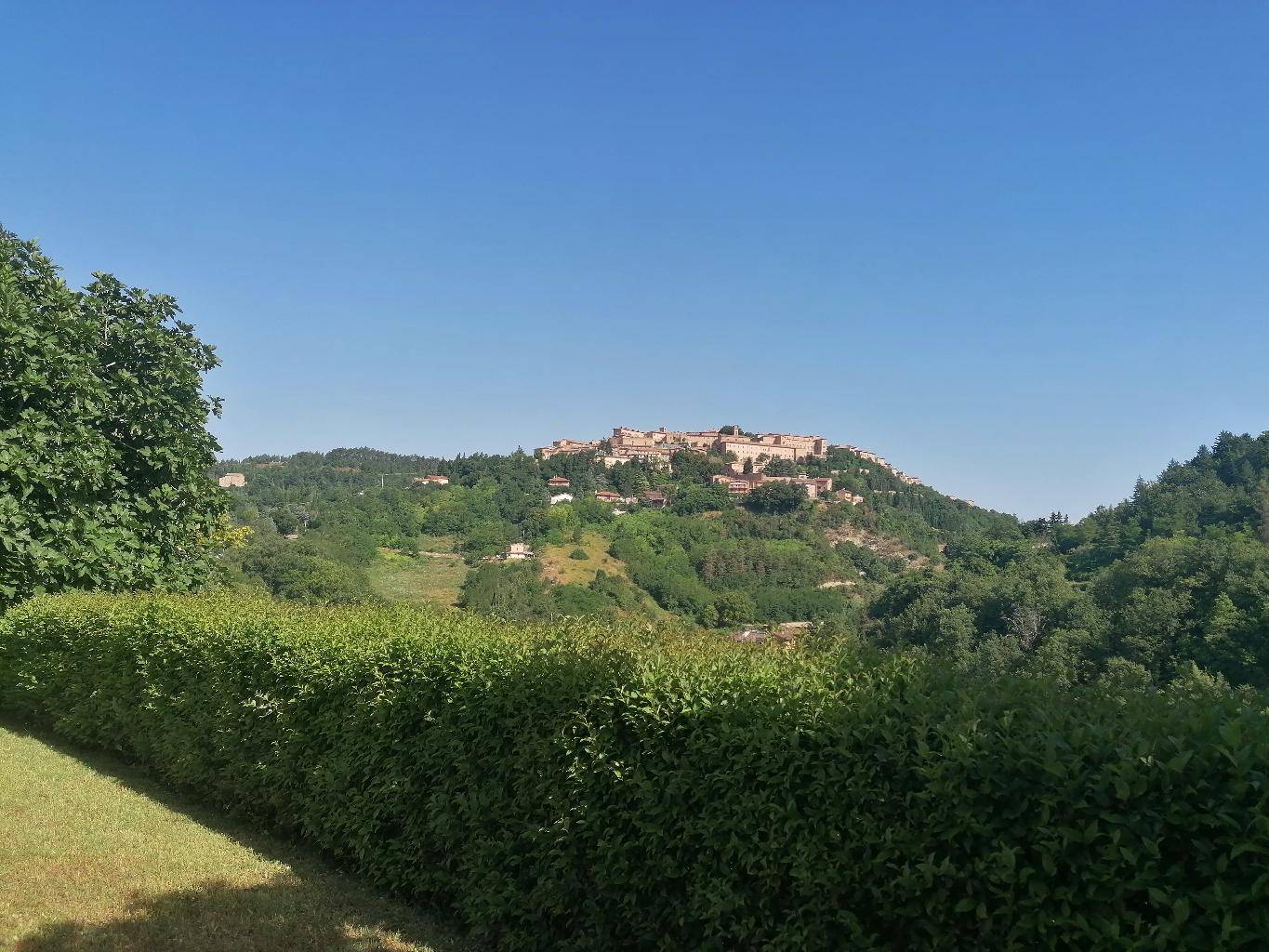 Casa indipendente, Urbino