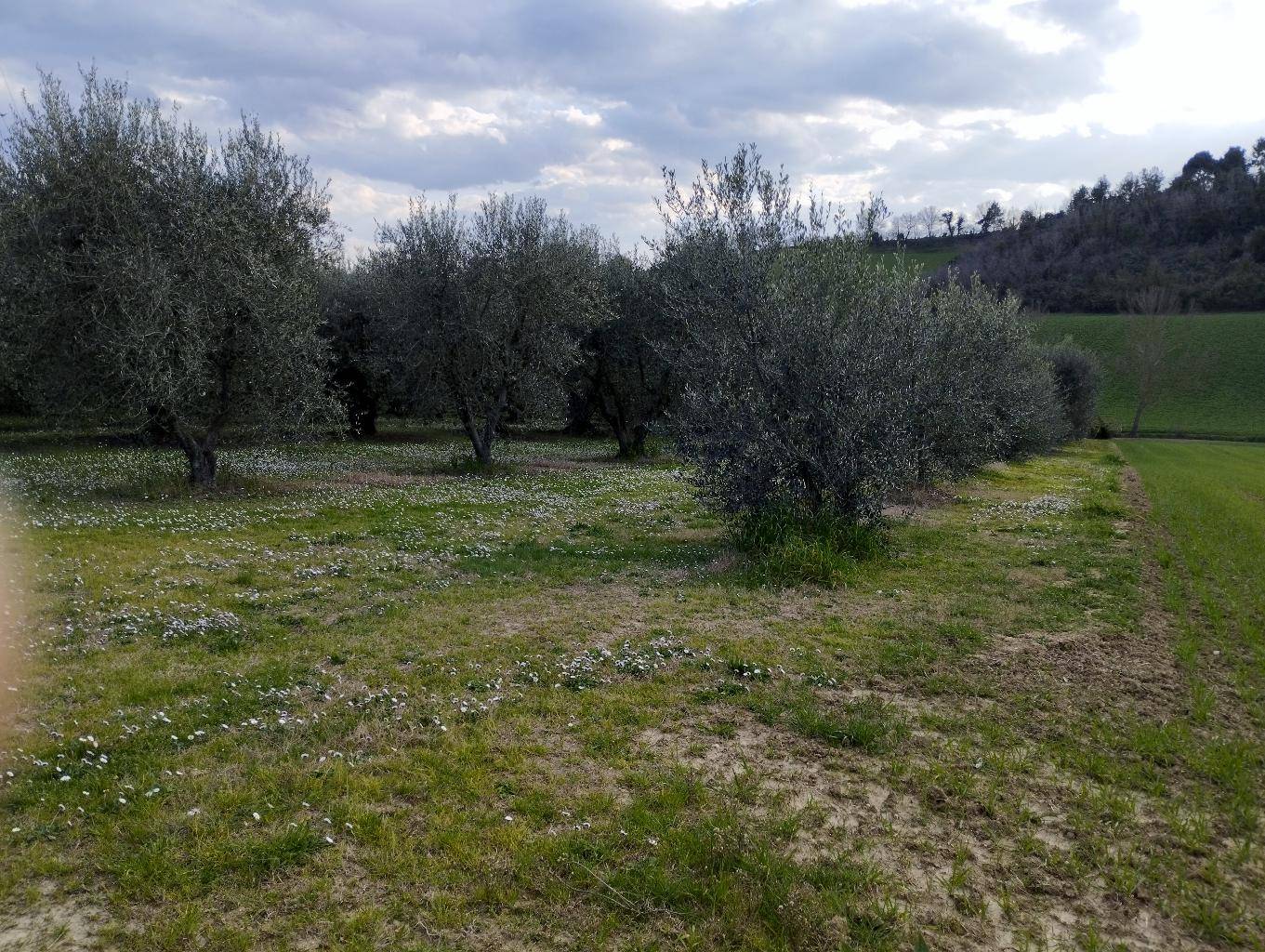  - foto 10