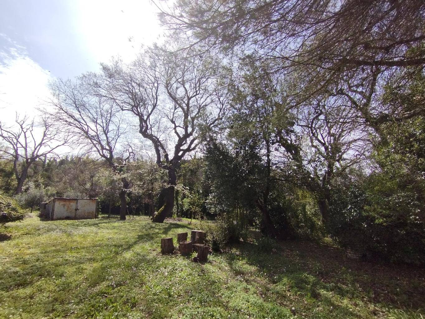  - foto 8