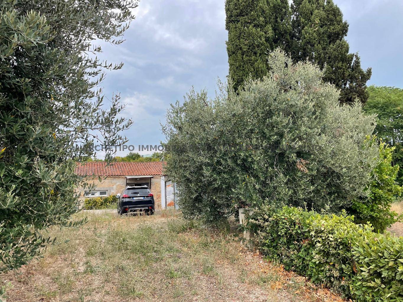 Altro, Cupra Marittima