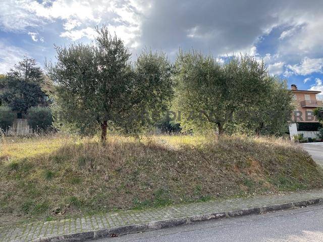 Altro, Cupra Marittima