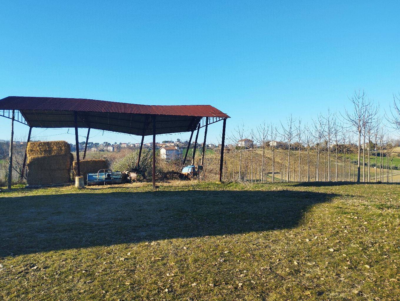 - foto 4