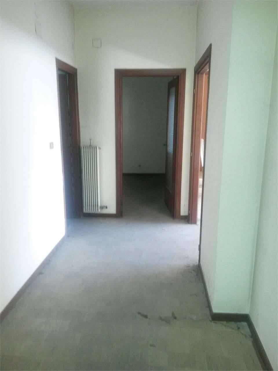  - foto 7
