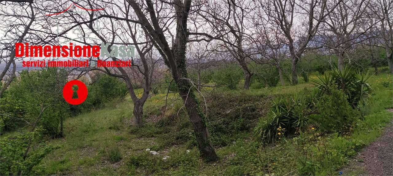  - foto 6