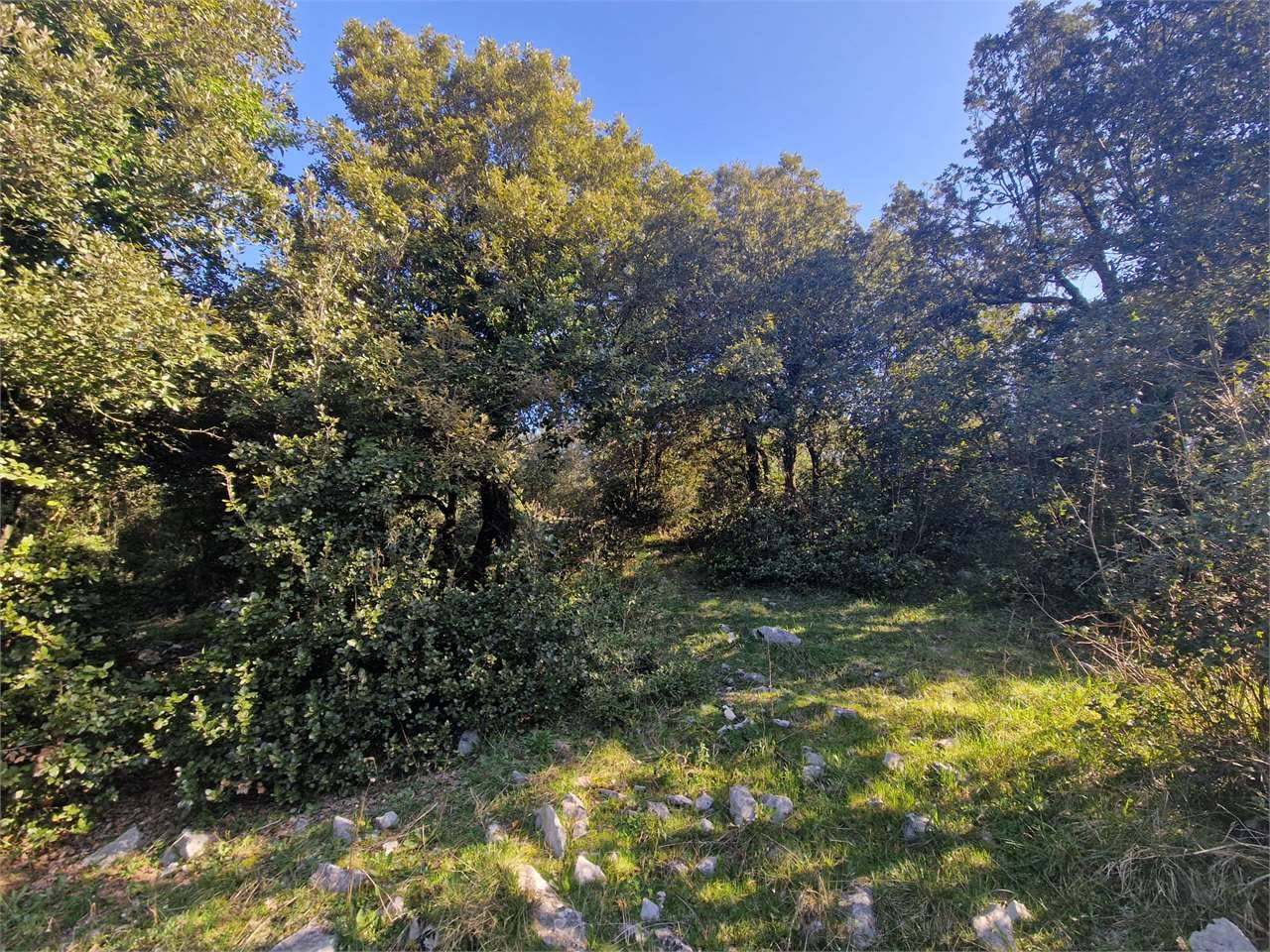 Terreno agricolo, Amaseno