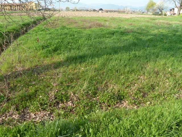 Terreno edificabile, Porcari