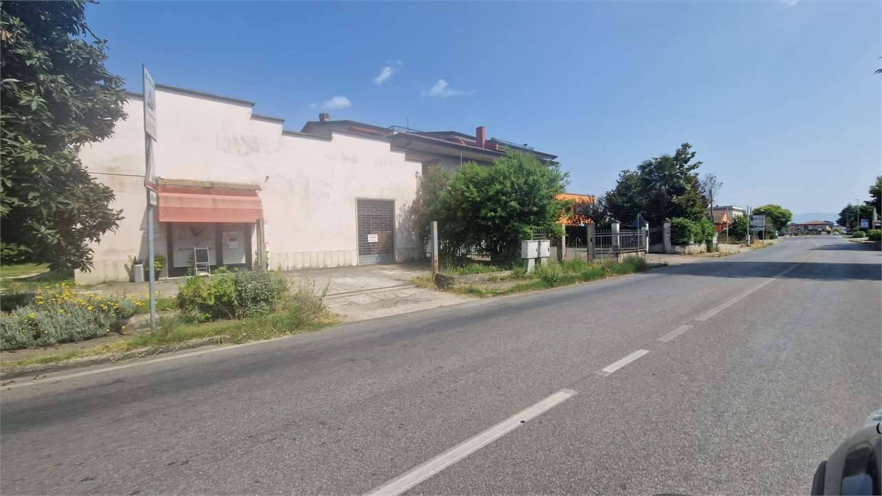  - foto 5