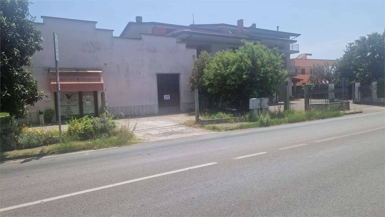  - foto 7