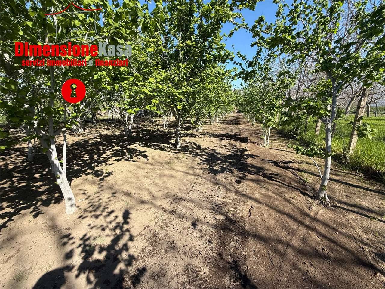  - foto 7