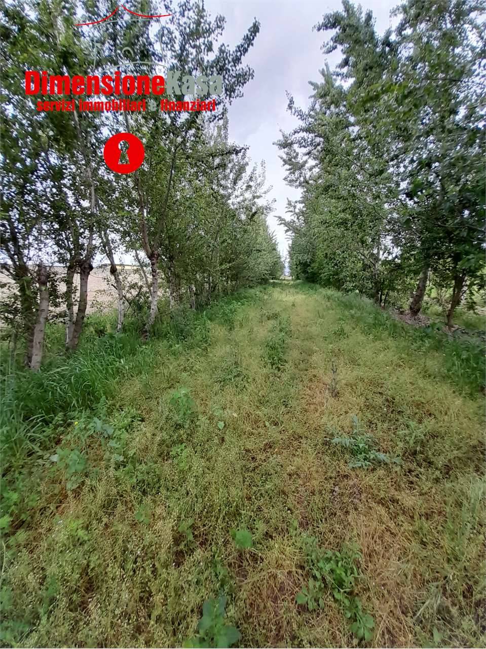  - foto 7