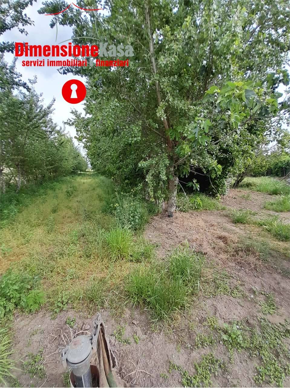  - foto 8