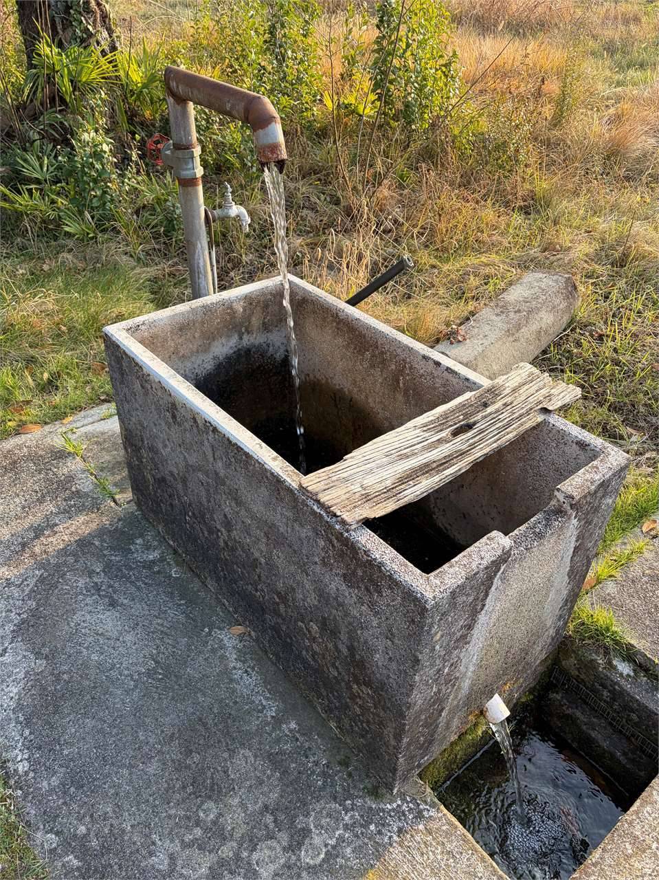 - foto 6