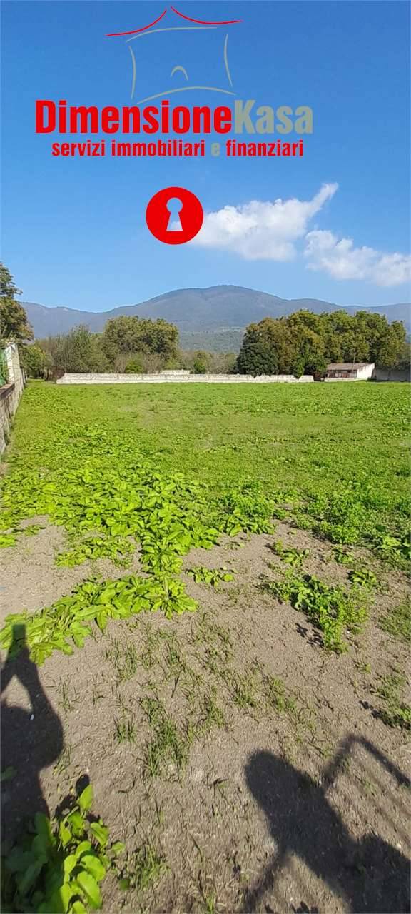 Terreno agricolo, Cicciano