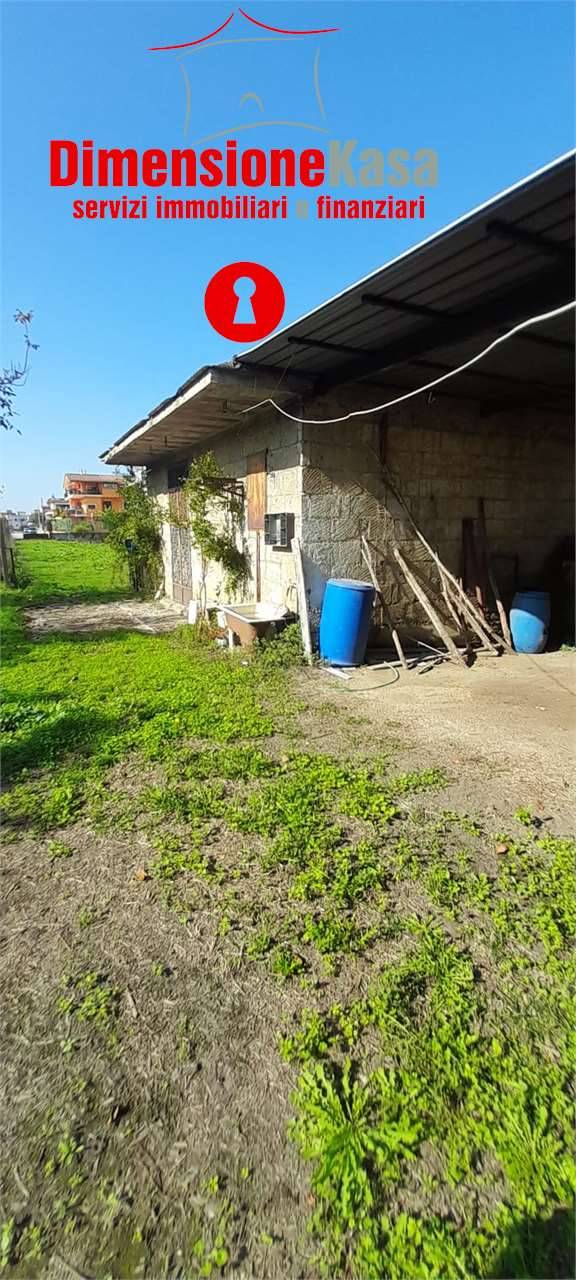  - foto 7