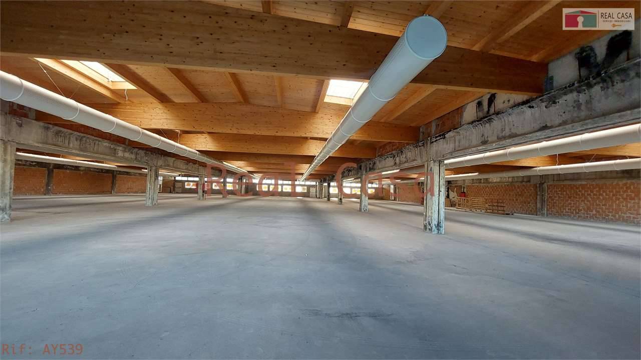  - foto 4